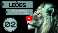 Leões mais raros e únicos do mundo